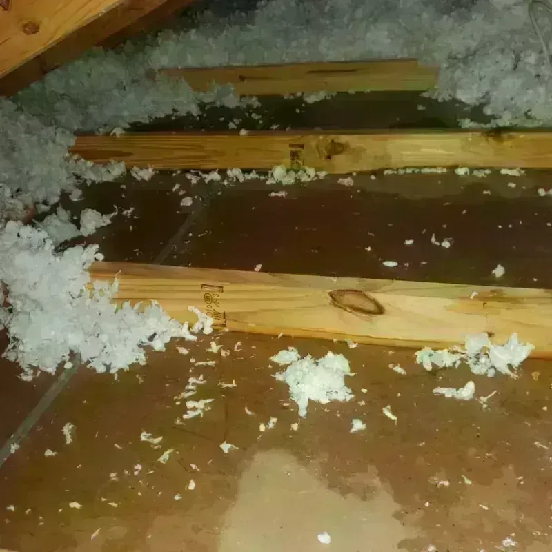 Attic Water Damage in Bellevue, OH