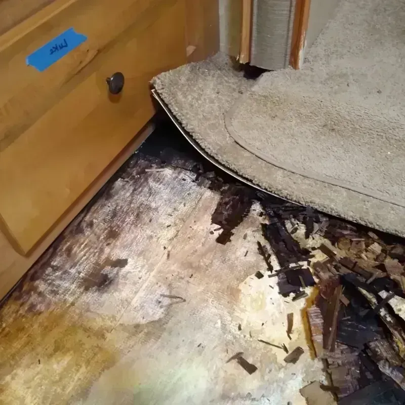 Wood Floor Water Damage in Bellevue, OH